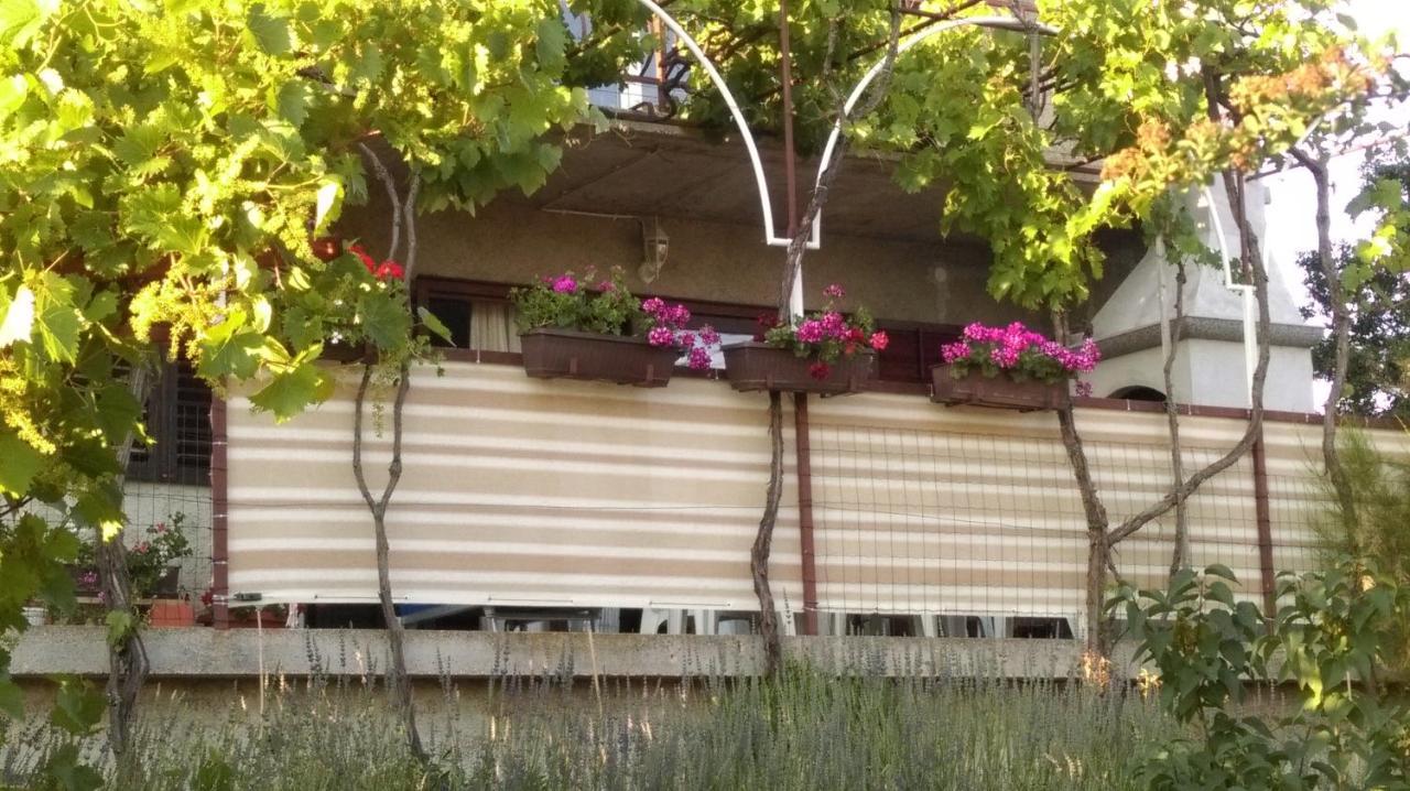 Apartment Kriskovic Novi Vinodolski Buitenkant foto